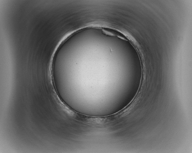 X0000115641248200911171416