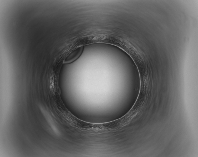 X0000115641250200911171415