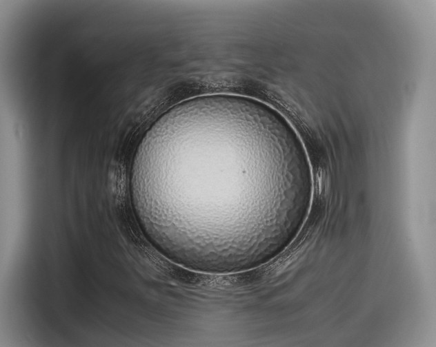 X0000115641251200911171415