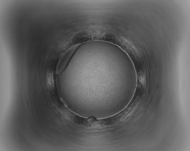 X0000115641252200911171415