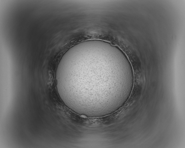 X0000115641253200911171415