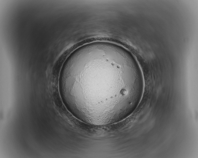 X0000115641255200911171415