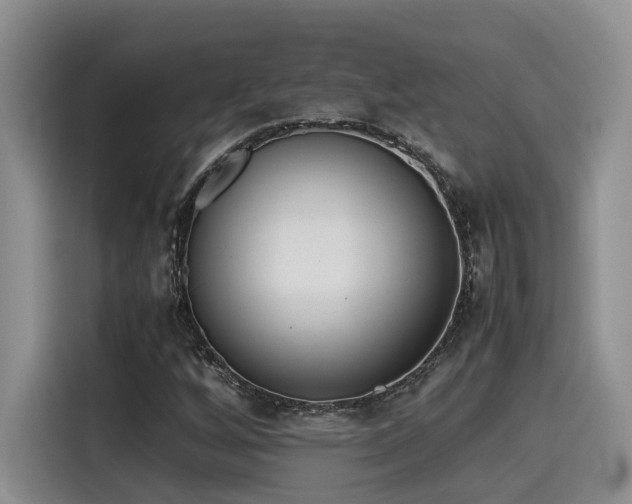 X0000115641256200911171415