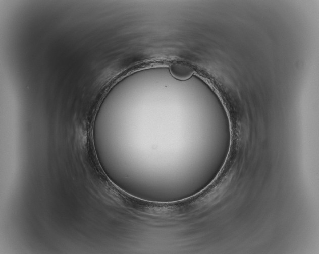 X0000115641257200911171415