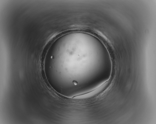 X0000115641259200911171415