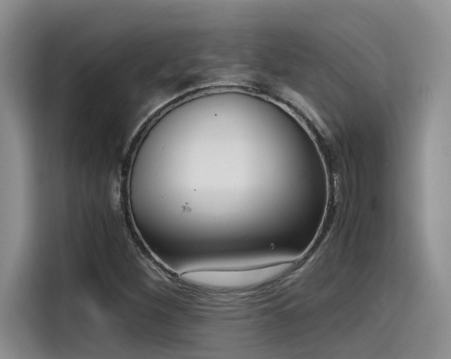 X0000115641260200911171415