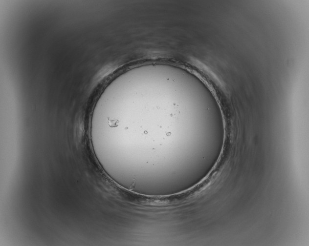 X0000115641261200911171415