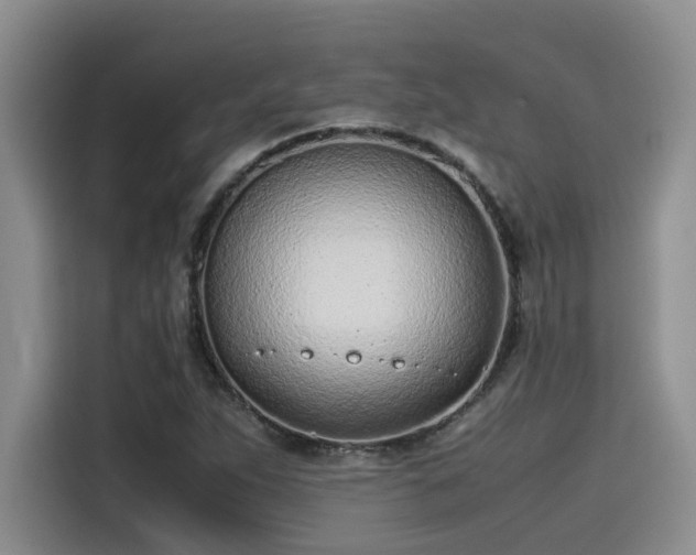 X0000115641263200911171415