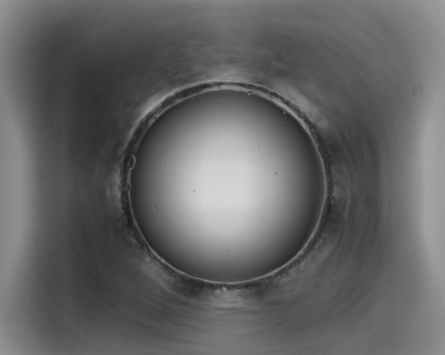 X0000115641264200911171415