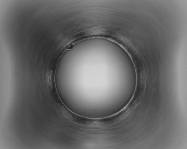 X0000115641265200911171415