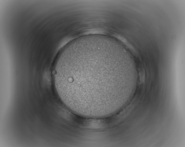 X0000115641266200911171415