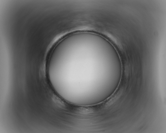 X0000115641270200911171415