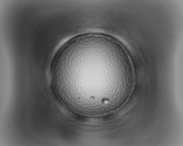 X0000115641271200911171415