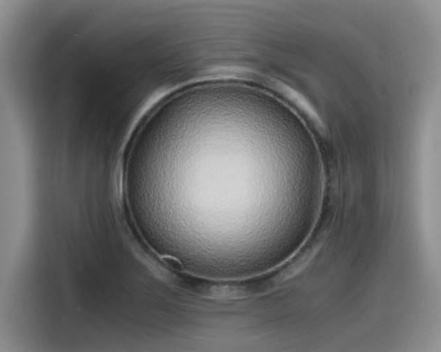 X0000115641275200911171415