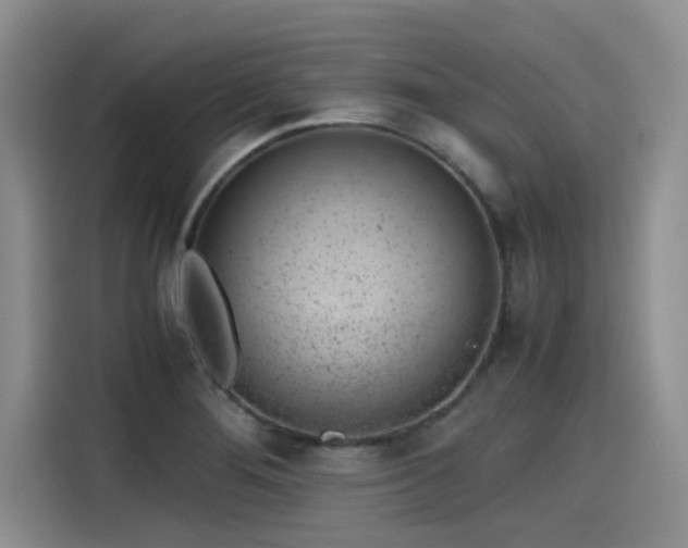 X0000115641276200911171415