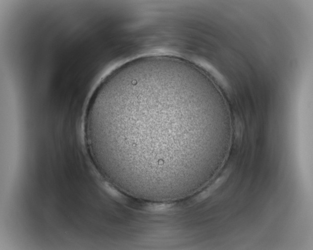 X0000115641278200911171415