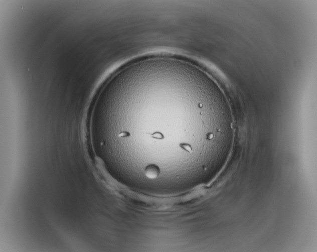 X0000115641279200911171415