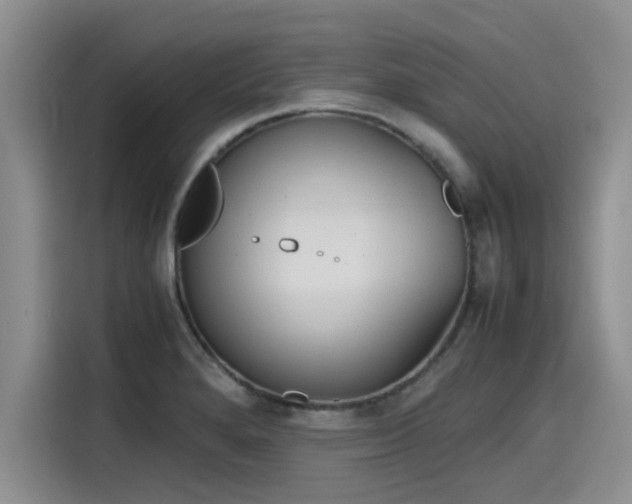 X0000115641280200911171415