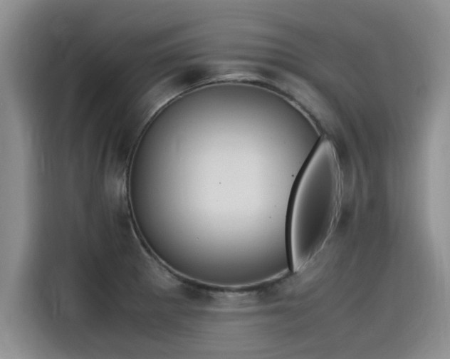 X0000115641281200911171415