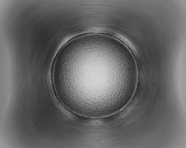 X0000115641283200911171415