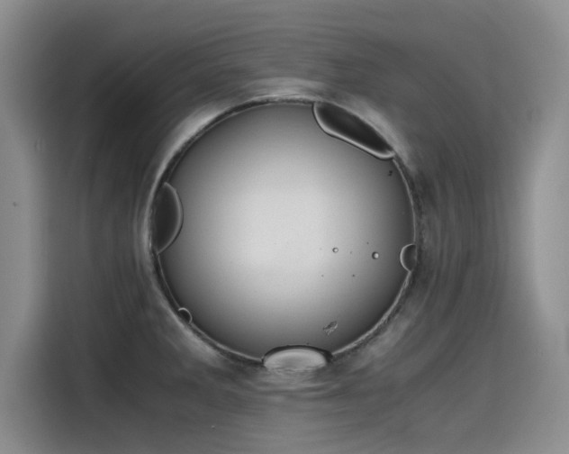 X0000115641285200911171415