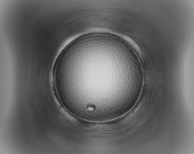 X0000115641287200911171415