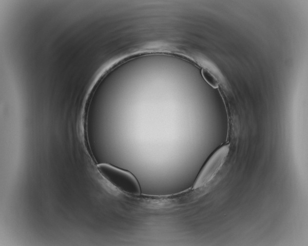 X0000115641288200911171415