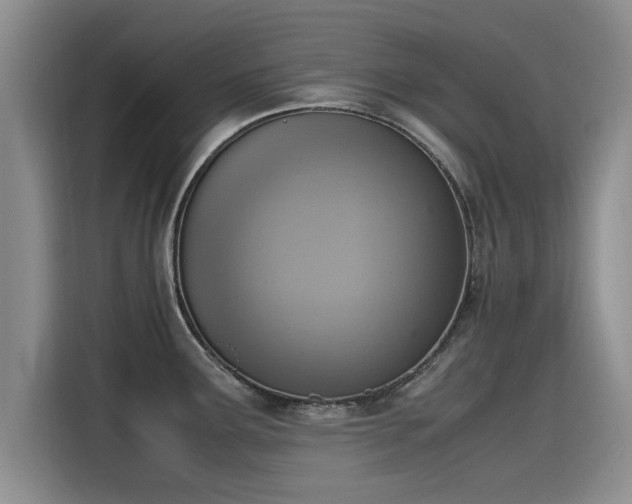 X0000115641291200911171415
