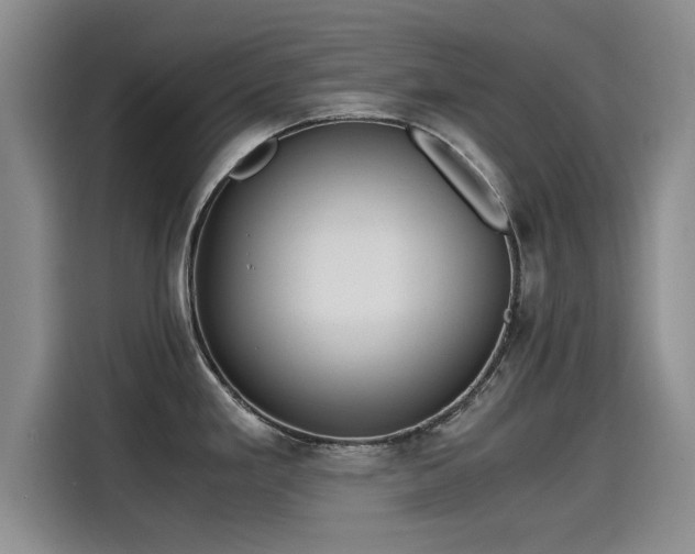 X0000115641293200911171415