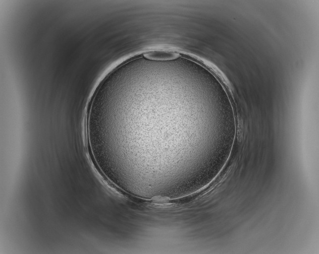 X0000115641295200911171415