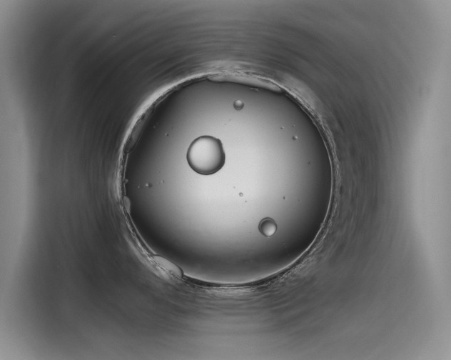 X0000115641296200911171414