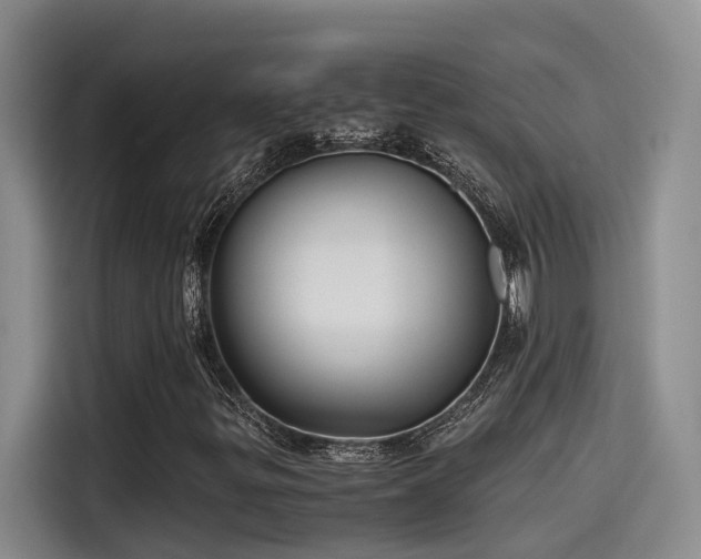 X0000115641299200911171414