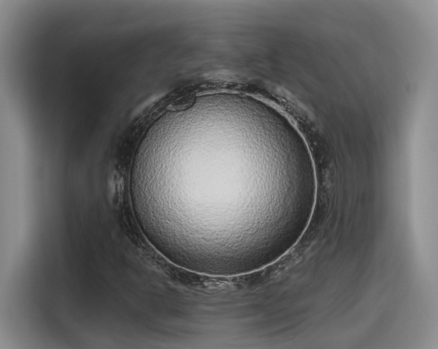 X0000115641302200911171414