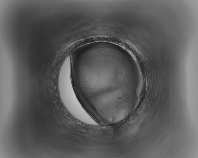 X0000115641303200911171414