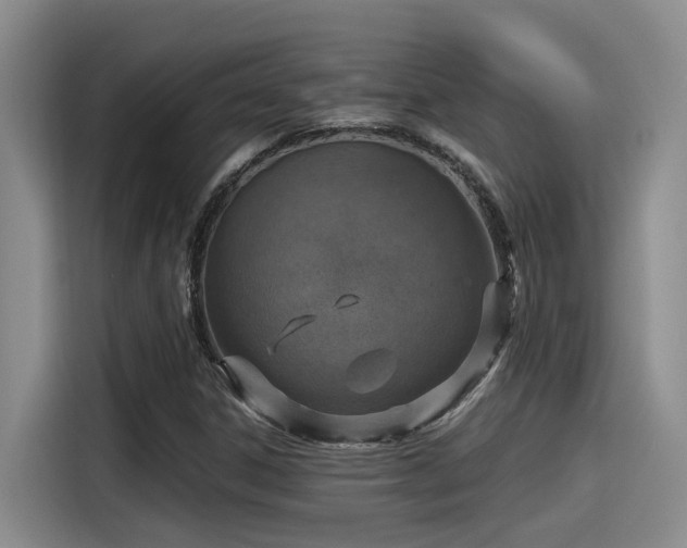 X0000115641306200911171414