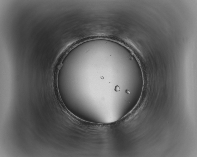 X0000115641307200911171414