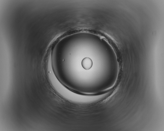 X0000115641309200911171414