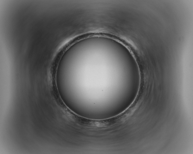 X0000115641311200911171414