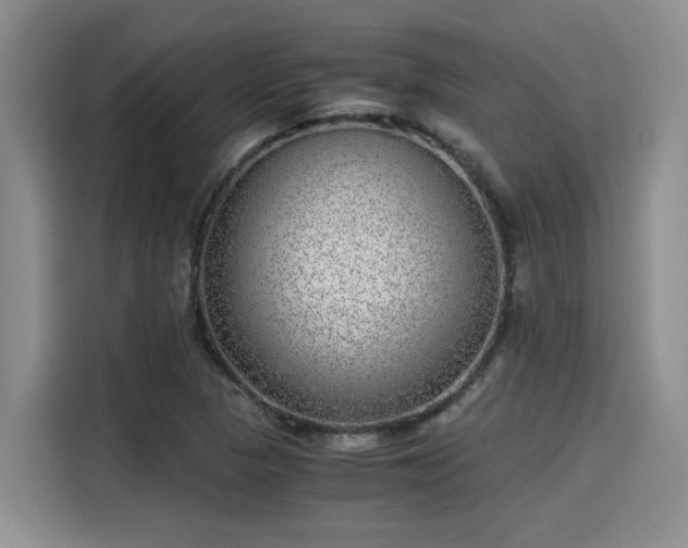 X0000115641313200911171414