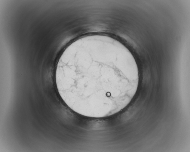 X0000115641314200911171414