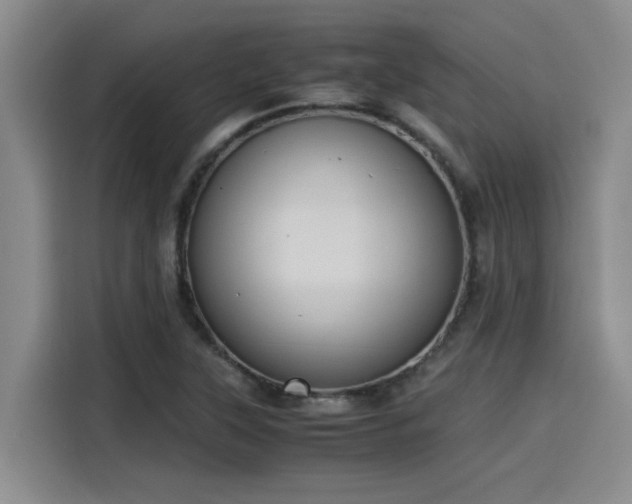 X0000115641315200911171414