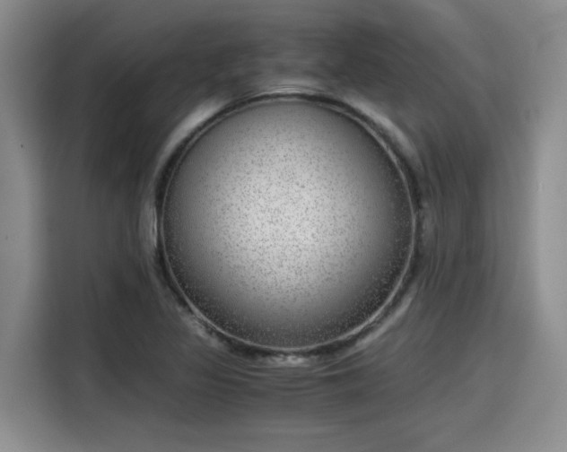 X0000115641317200911171414