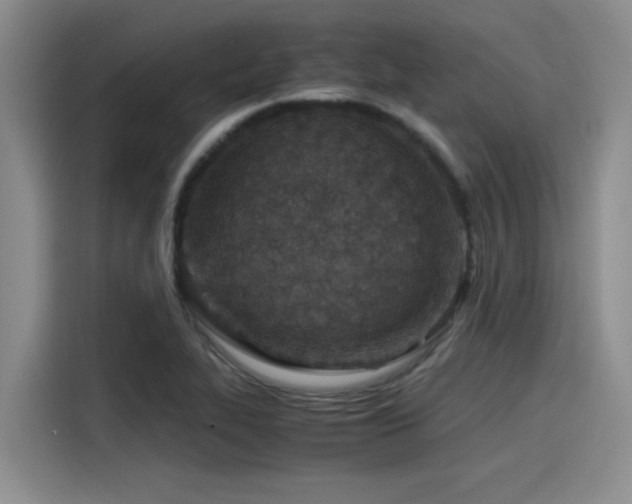 X0000115641319200911171414