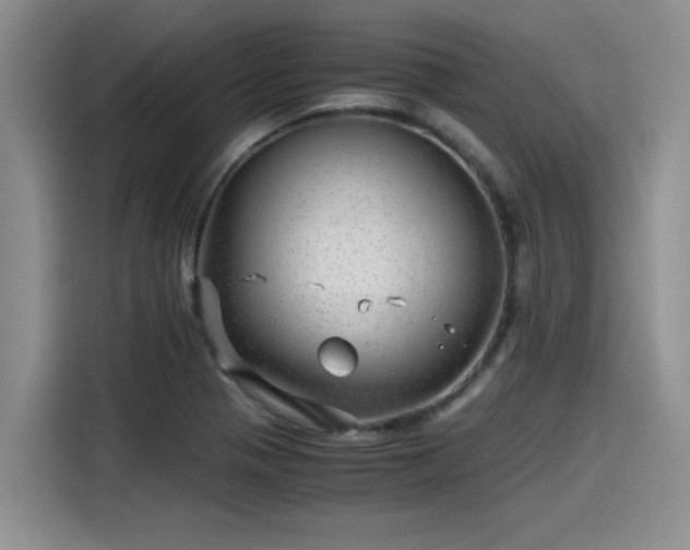 X0000115641321200911171414