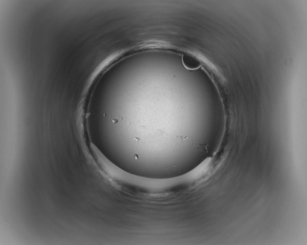 X0000115641325200911171414