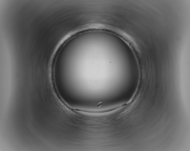 X0000115641326200911171414