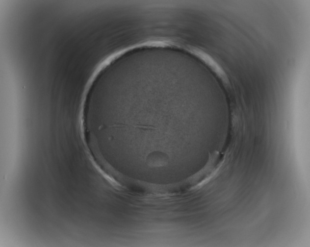 X0000115641327200911171414