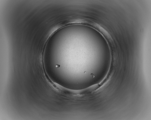 X0000115641329200911171414