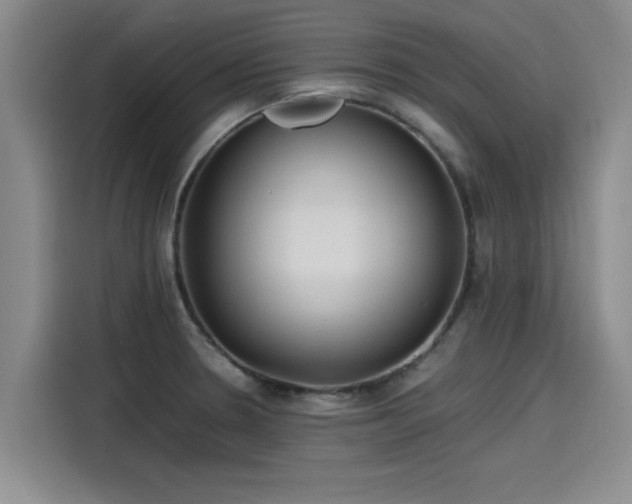 X0000115641330200911171414