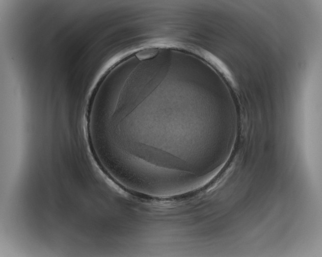 X0000115641334200911171414
